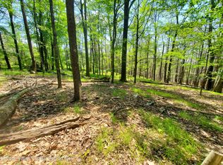 Tbd Piney Lane, Cragsmoor, NY 12420