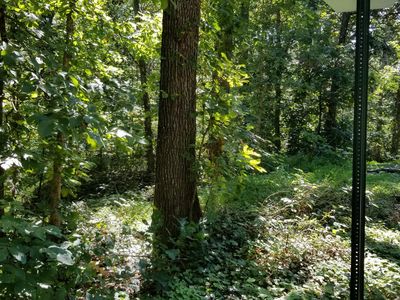 Lot 20 Wilderness Rd LOT 20, Friendsville, TN, 37737