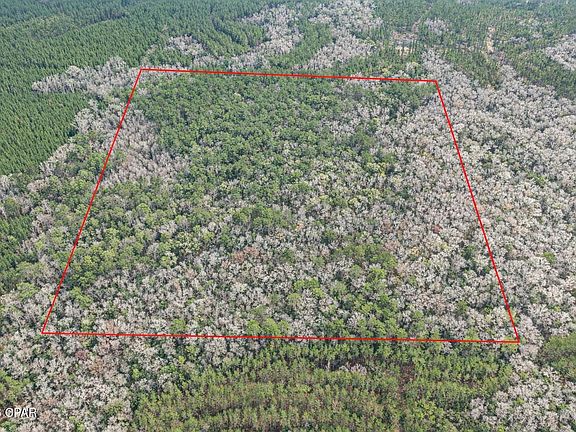 5th image of 0 Clemmons Rd