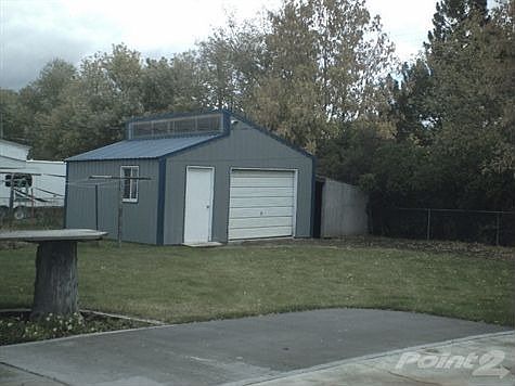 blaine shasta 002