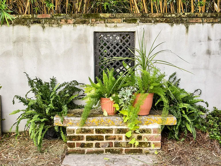 Garden Area