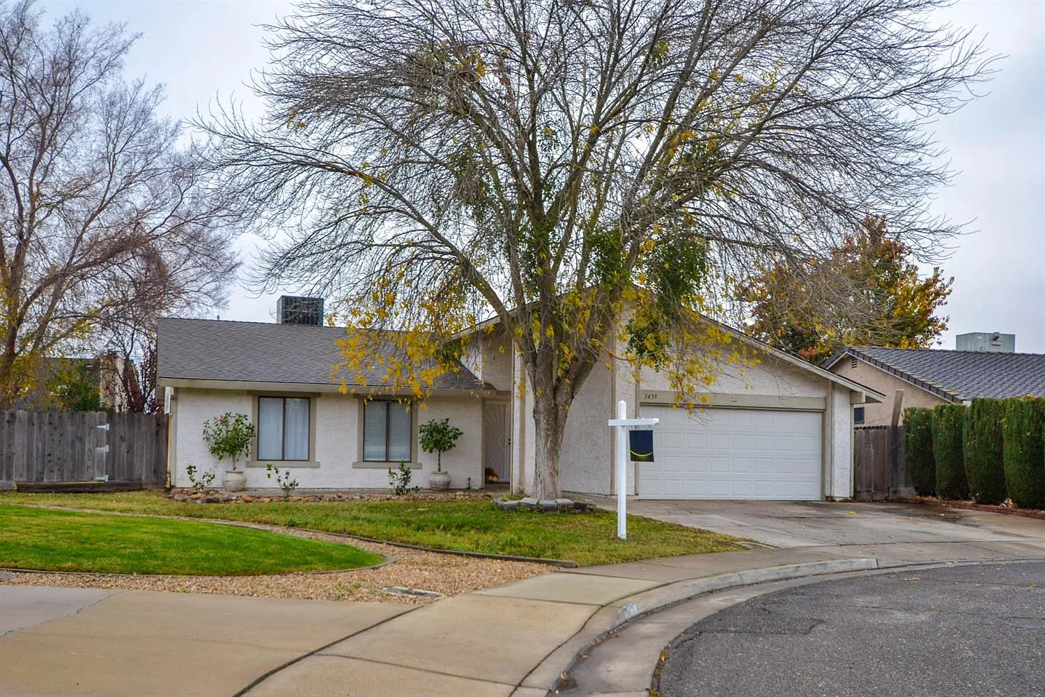 3439 Carrie Ct photo 1