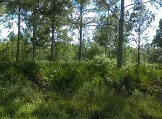 Water Rd, Clermont, FL 34714