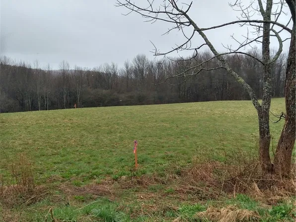 0 4h Camp Rd #3, Mc Graw, NY 13101