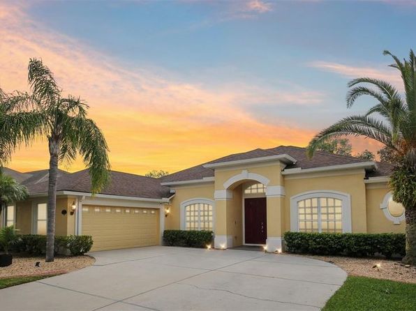 20254 Ravens End Dr, Tampa, FL 33647