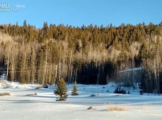 110 Bernhard Ter, Cripple Creek, CO 80813