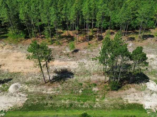 0 Wilbur Pridgen Rd Lot 4, Harrells, NC 28444
