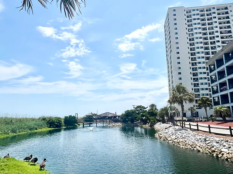 5905 S Kings Hwy #147A — Photo 44