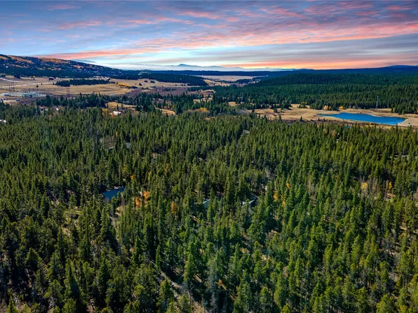 235 Willow Ln, Alma, CO 80420