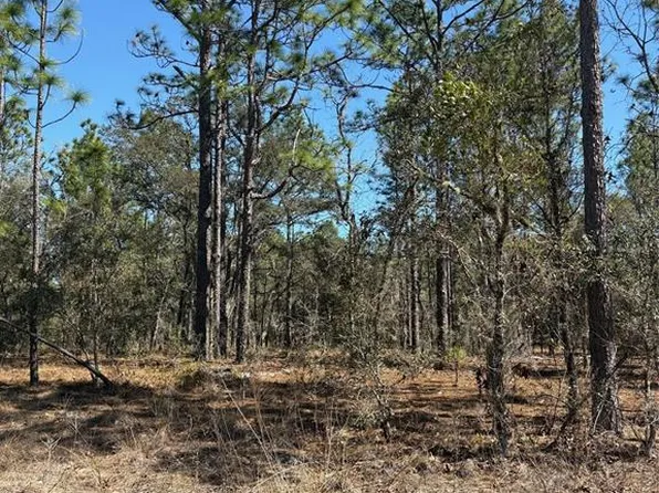 Tba Southeast Ct #135, Dunnellon, FL 34431