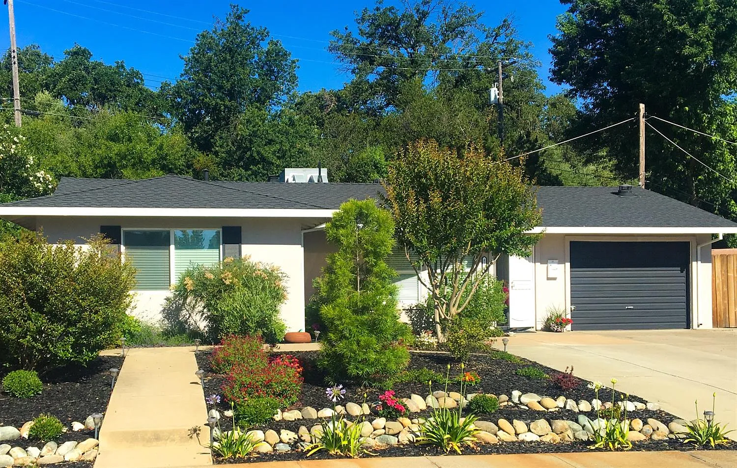 8125 Glen Tree Dr photo 1