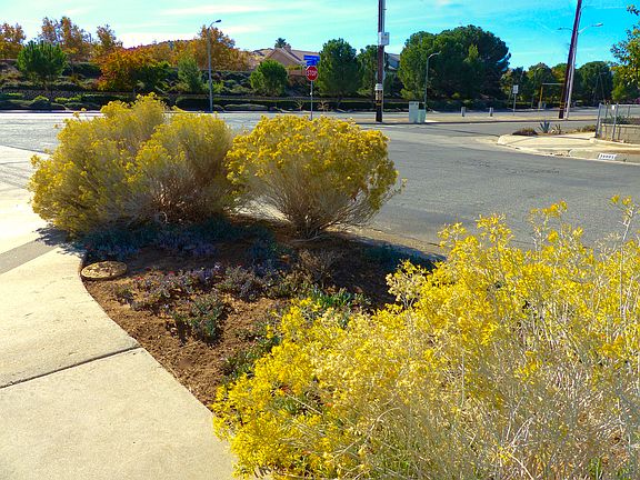 Looking South on Foxholm Dr.