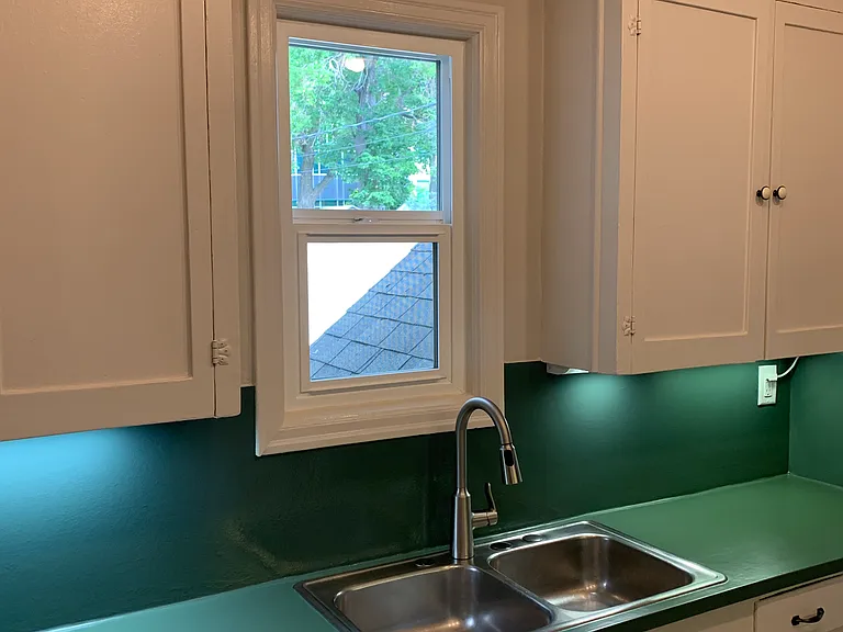 Window above the sink looking into the backyard