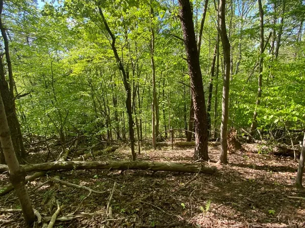 0 Misty Mountain Rd, Lynch Station, VA 24571