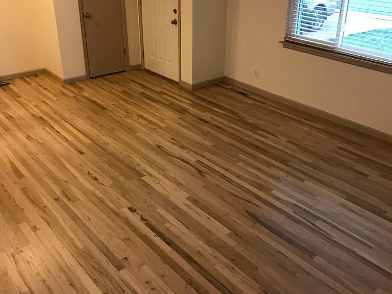 Front door from inside and living room (2018 photo)