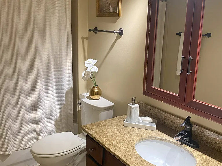 215 W College Ave #604 — Photo 12