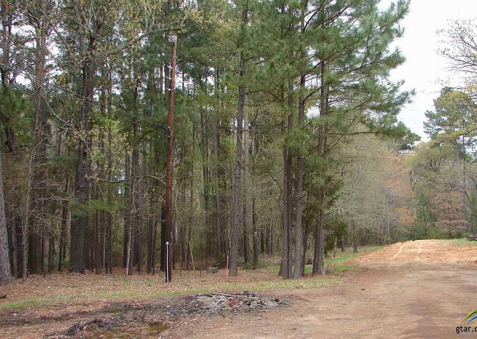 2nd image of 15475 County Road 1197