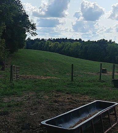 3rd image of 800 Jenkins Ln