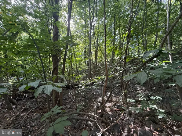 LOT 60 Dogwood Dr, Harrisburg, PA 17110