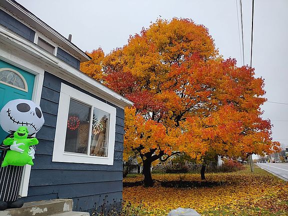 Front yard in autumn