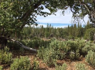 371 Blossom Ln, Rail Road Flat, CA 95248