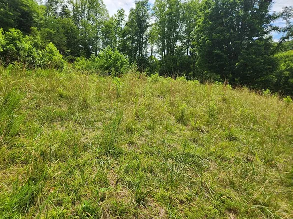 28 Griffith Hill Rd, Ferrum, VA 24088