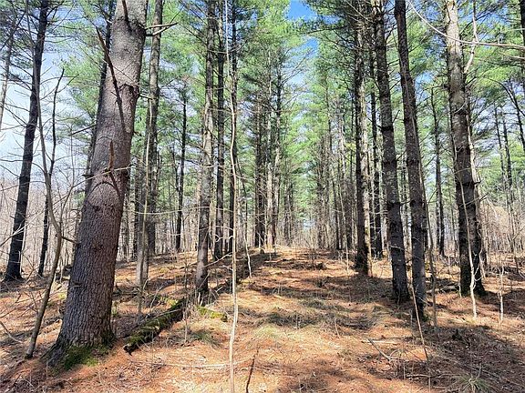 5th image of 20 Acres Star Lake Road