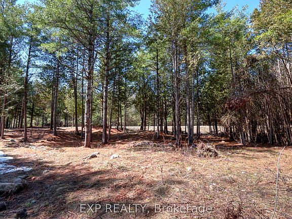 3rd image of 593 County Road 40 Rd