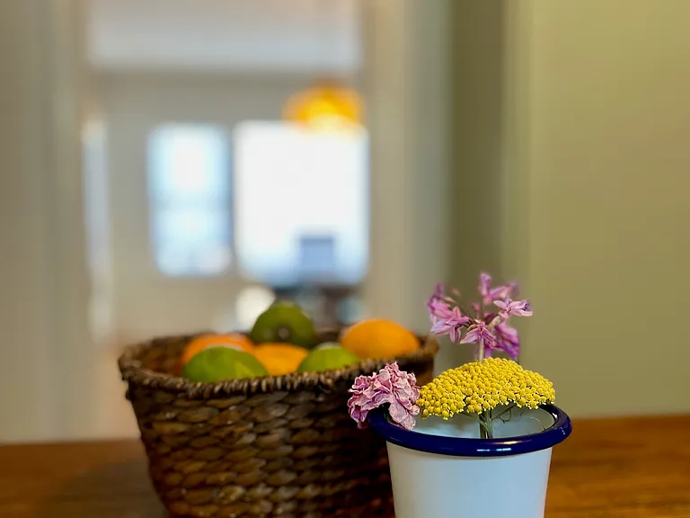 529 Rosal Ave — Photo 20