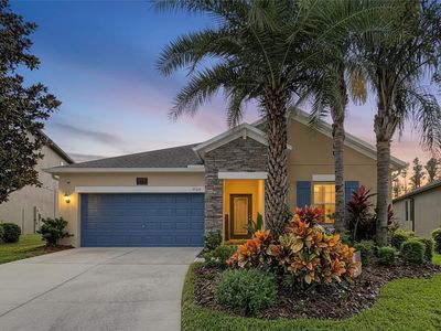 19210 Alexandrea Lee Ct, Land O Lakes, FL, 34638