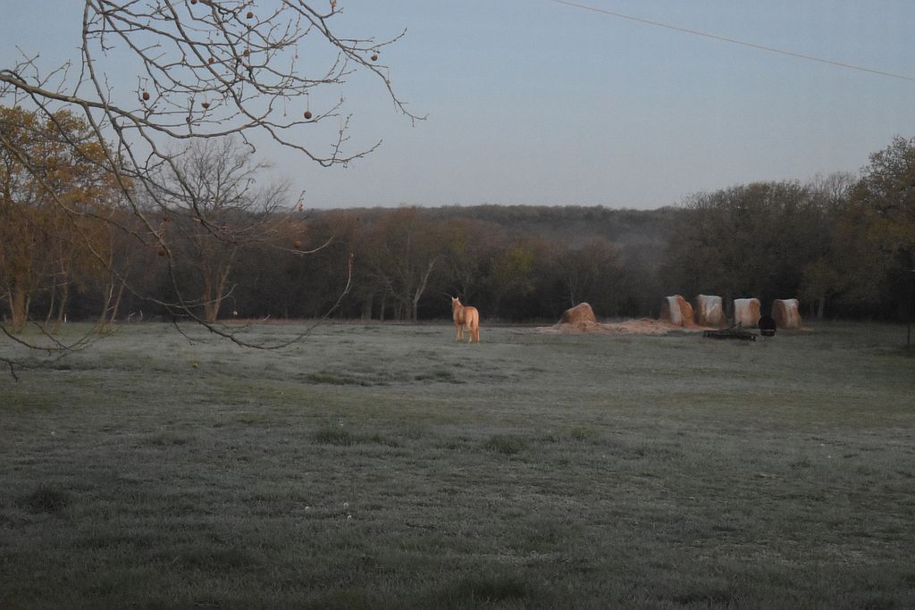 37066 Us Highway 177 - Property Image