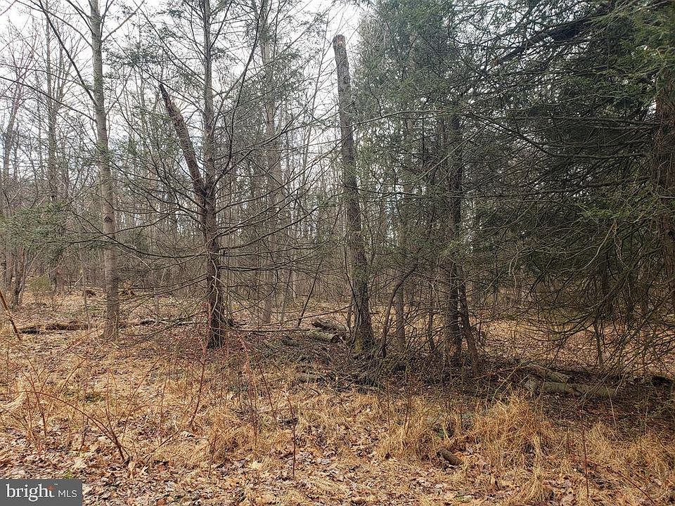 1st image of 4 Eagle Ln