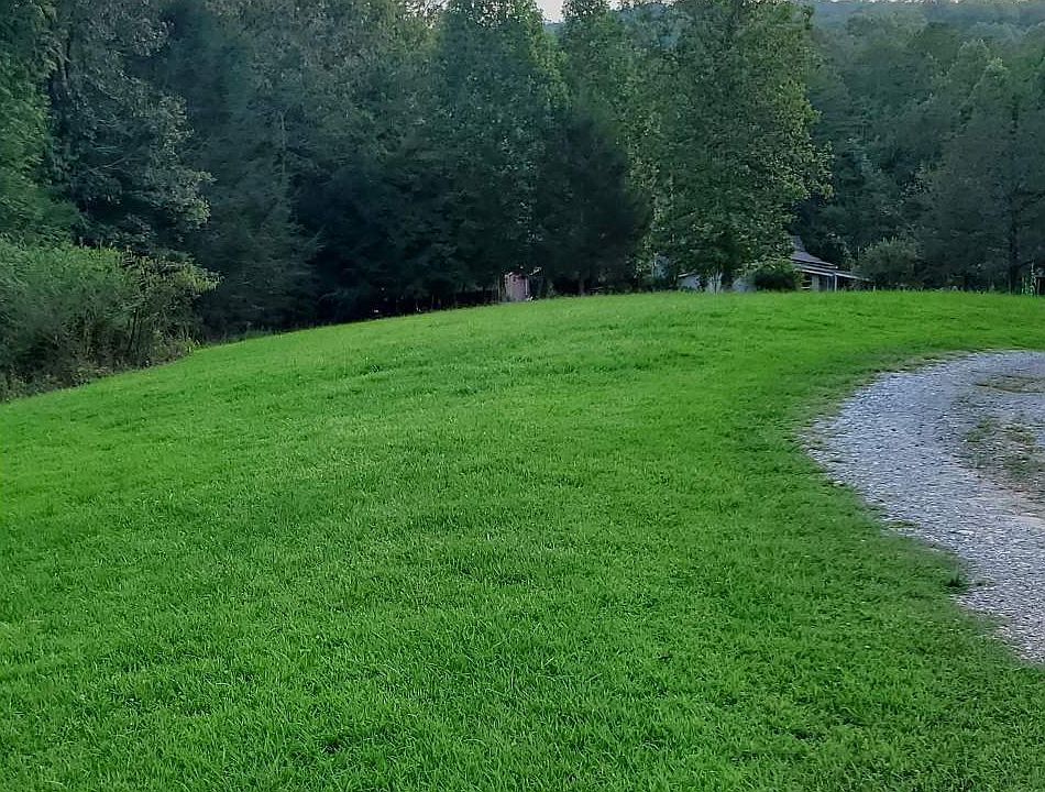 2nd image of Blueberry Ln