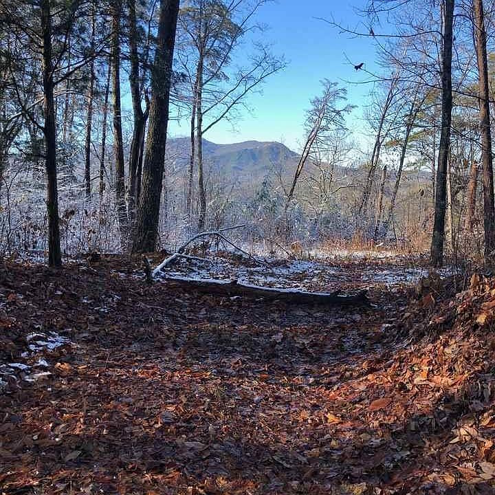 2nd image of 38 Priscilla Heights Ln Lot 38