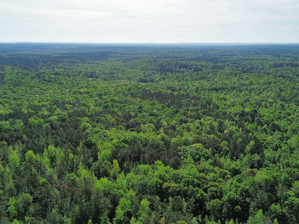 Dji Fly 20260413 102254 641 1776090468160 Photo Optimized