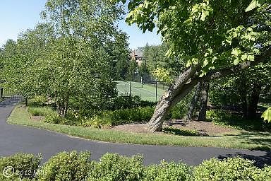 1st image of 10409 Stapleford Hall Dr