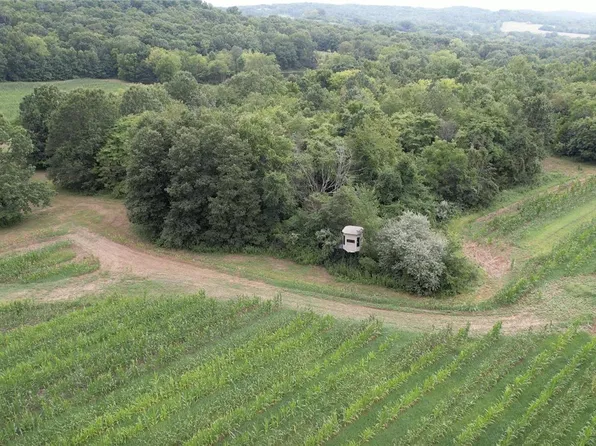 108/- Acres Old Hwy #79, New London, MO 63459