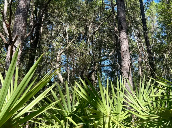B Trawick Creek Rd, Holt, FL 32564