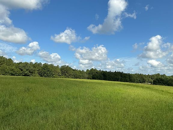 2nd image of 10458 State Highway 55