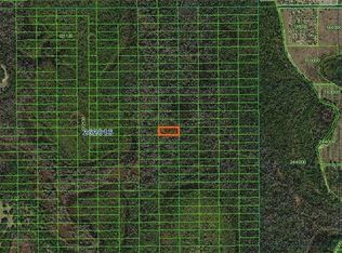 Sweethill Rd Lot Ss 75, Polk City, FL 33868