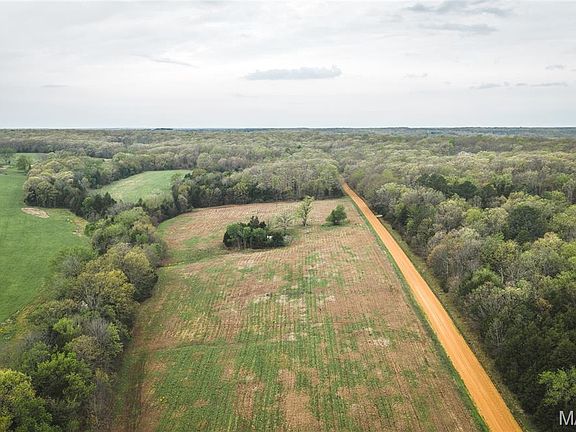 4th image of 4386 Durbin Rd