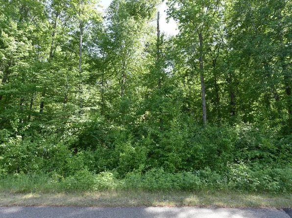Castlewood Ct, Pequot Lakes, MN 56472