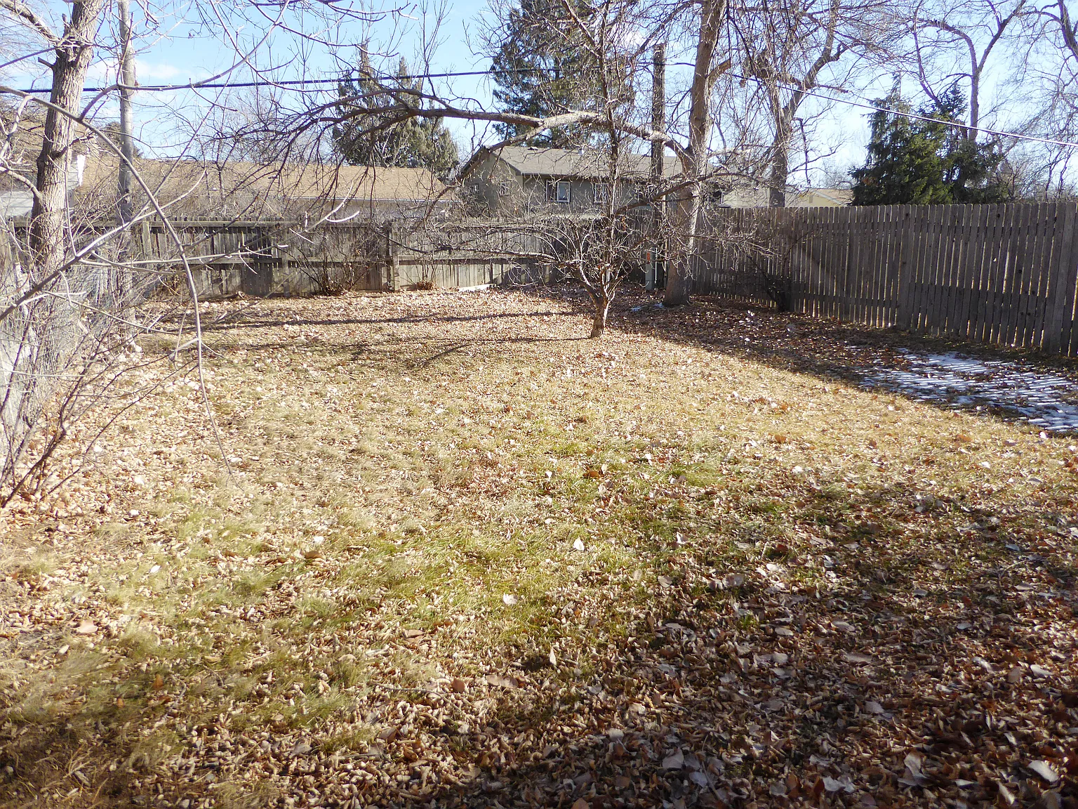 2 bed, 662 sqft, $1,775 — Photo 3