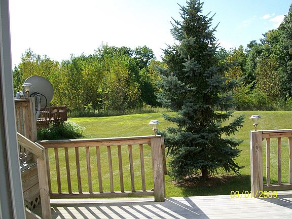 Back View