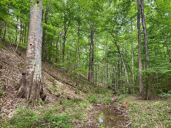 29th image of this home