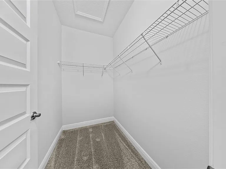 15537 Mango Isle St — Photo 50