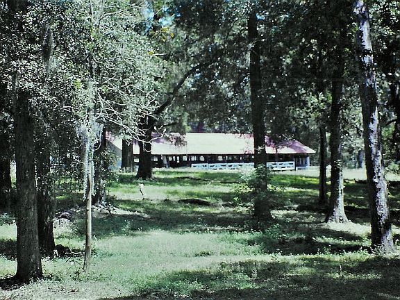pasture and wooded areas