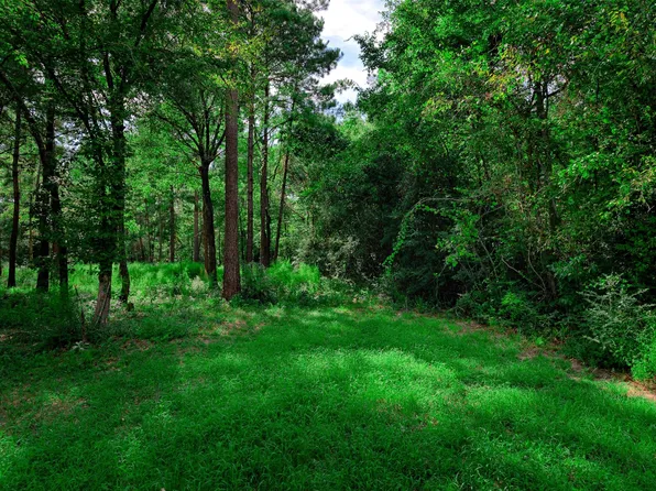 3-15-36 Winchester Rd Lot 36, Huntsville, TX 77340