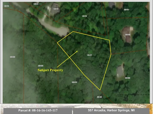 557 Arcadia Dr, Harbor Springs, MI 49740