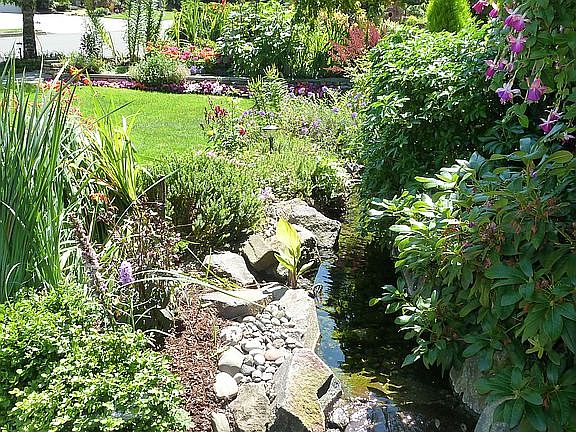 Front yard water feature